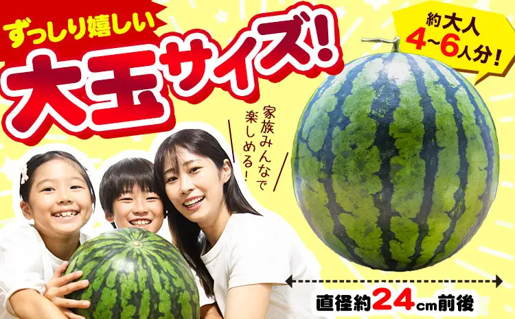 【先行予約】すいか 大玉 1玉 熊本 スイカ