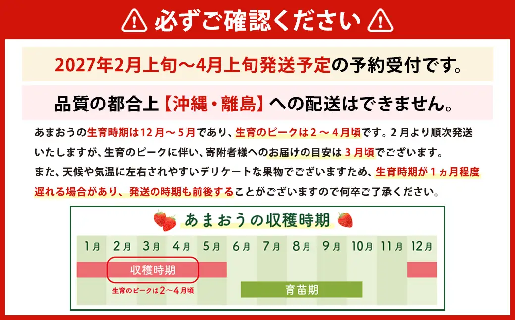 【数量限定】 福岡県産 あまおう 計500g 250g×2パック 【2027年2月上旬～4月上旬発送予定】 苺 イチゴ いちご 果物 フルーツ 果実 国産 アフター保証 アフター対応 福岡県 遠賀町 冷蔵