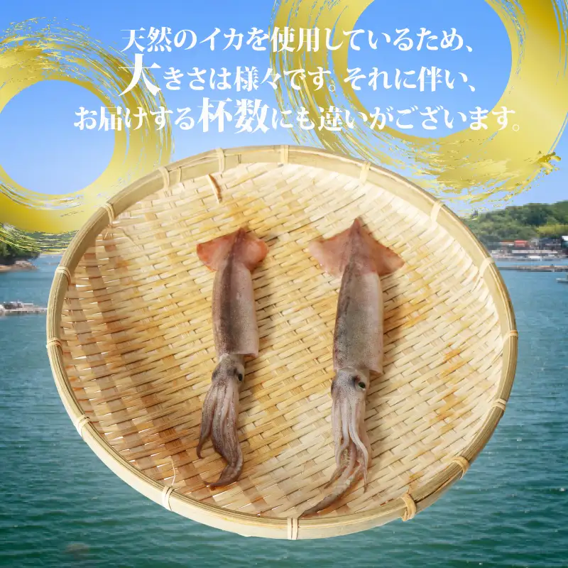 ( 冷凍 ) スルメイカ 1kg いか 魚介 海鮮 刺身 烏賊 産地直送 真空パック 三重 南伊勢町 伊勢 志摩 外湾漁業協同組合