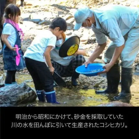 R7年産 秘境の地の砂金米 岩船産コシヒカリ 精米5kg(5kg×1袋)【1748087】
