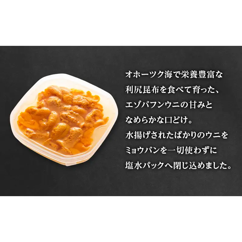 うに エゾバフンウニ 塩水パック ミョウバン不使用 オホーツク枝幸 うに【100g】