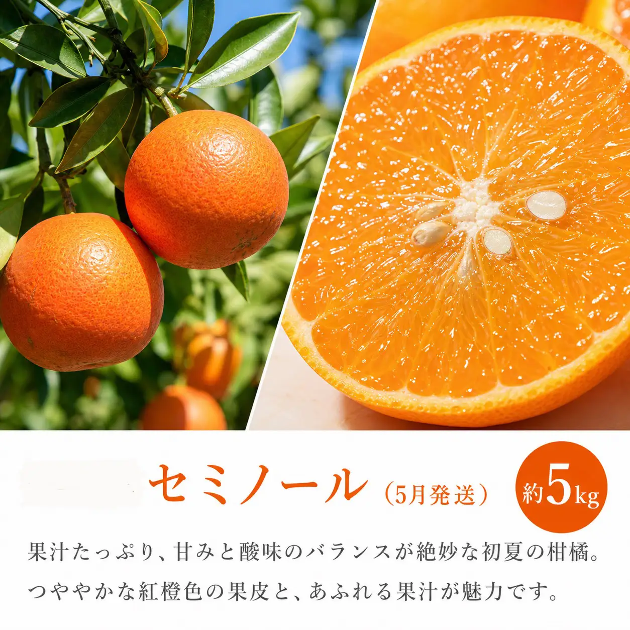 【全3回】紀州和歌山産旬のフルーツ定期便（セミノール・スイカ・桃）【5月・6月・7月】【tkb453】