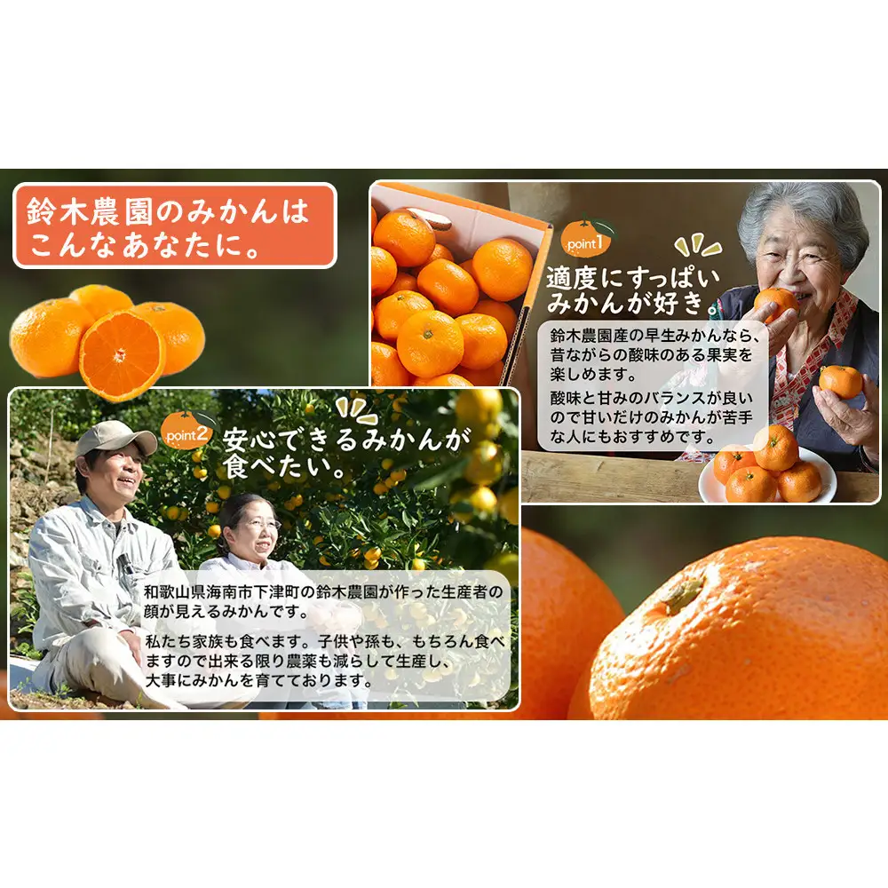 【定期便3か月】紀州産みかん「早生・蔵出し」農園直送 3kg SMLサイズ｜みかん