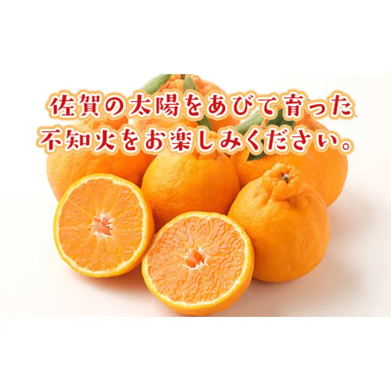 不知火 しらぬい 約3kg 柑橘 みかん ジュース ゼリー シャーベット 果物 フルーツ デザート ※配送不可:離島