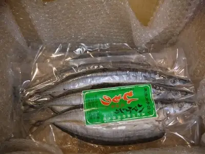 干物 無添加 さんま開き 9枚(3枚入り×3P) 定置網のハマケン水産 干物 ひもの サンマ 秋刀魚 海鮮 魚介類 魚介 海の幸 魚 人気 おすすめ 三重県 熊野市【kmkn0105】