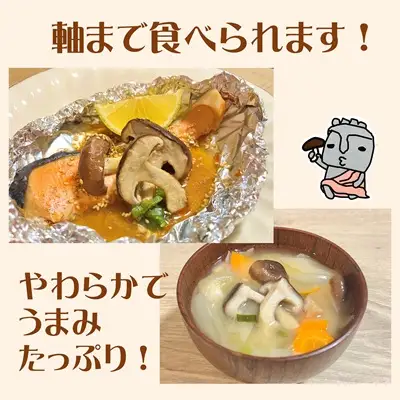 軸までおいしい！コクうま　生しいたけ（100ｇ×10パック）