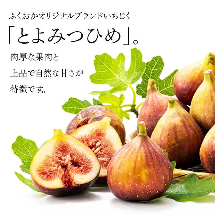 A1361.九州・福岡フルーツ王国より直送.いちじく（とよみつ姫）約1kg／2026年8月～9月配送【とよみつひめ】