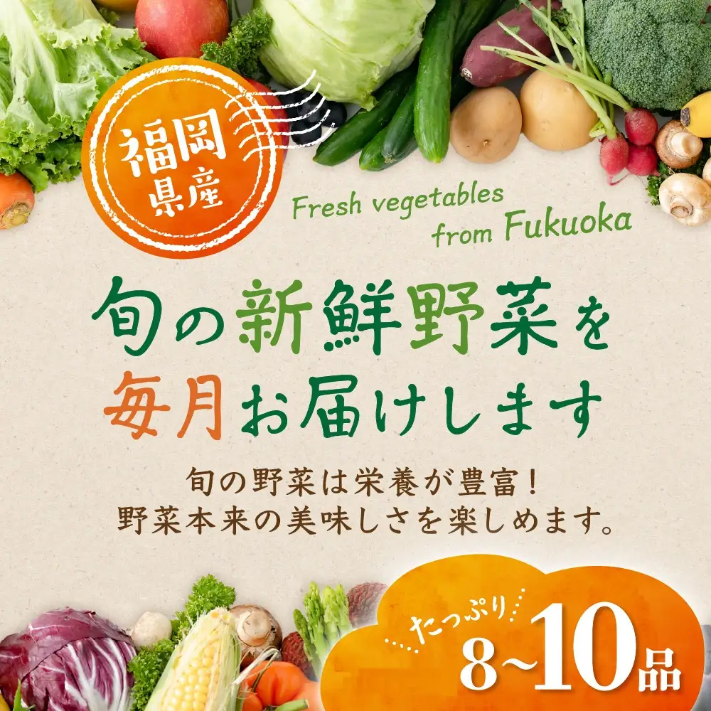 旬のお野菜詰合せセット【道の駅むなかた】_HA2050 野菜 新鮮 旬 サラダ 福岡県宗像市 宗像市 福岡 宗像