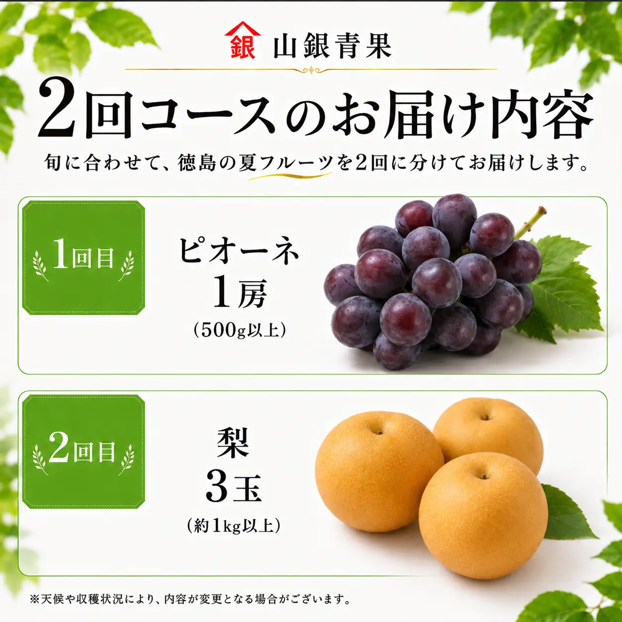 フルーツ 定期便 2回 コースA 果物