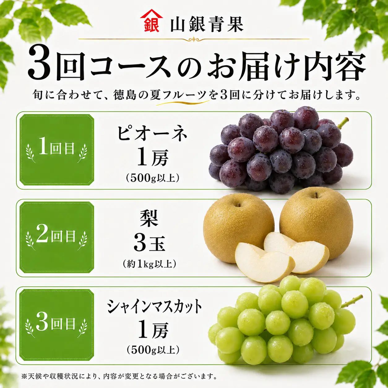 フルーツ 定期便 3回 果物