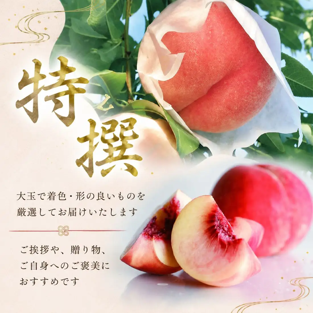 【8月下旬発送】 桃 川中島白桃 特撰 約2.0㎏ 先行予約 桃 fujimura004