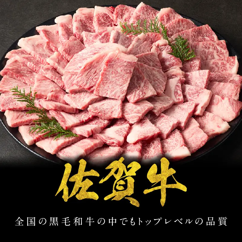 【最速配送】佐賀牛 霜降り 焼肉 2.4kg ／ 霜降り【B238】