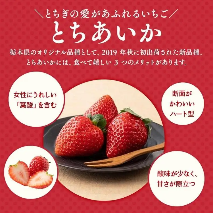 栃木おいしい会のいちご（とちあいか）260g×10パック（2600g）｜栃木県共通返礼品 栃木県産 ※2027年1月～発送