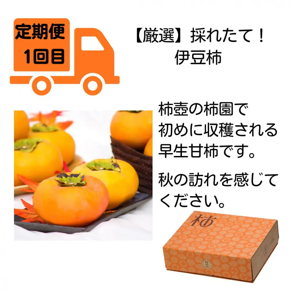 【全4回定期便】【柿専業の農家が作る】出雲の柿3種と旬をたのしむごほうび【2026年10月以降発送】