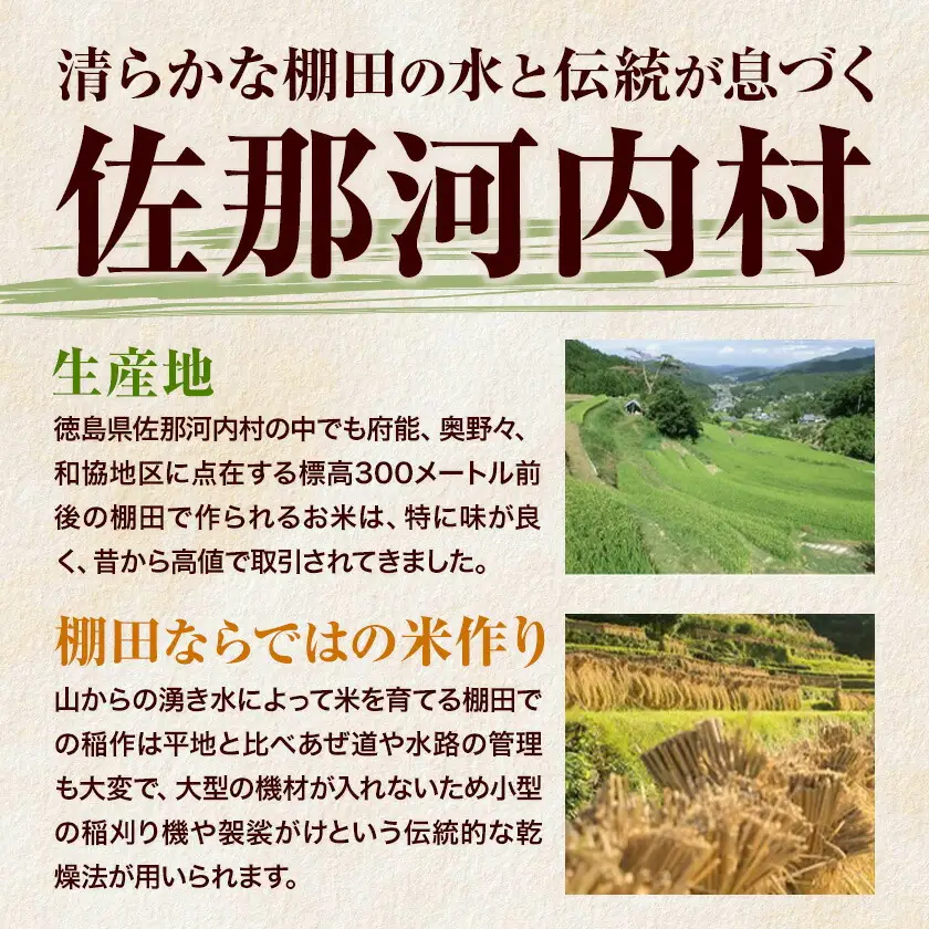 【先行予約】棚田米 無洗米 20kg 米