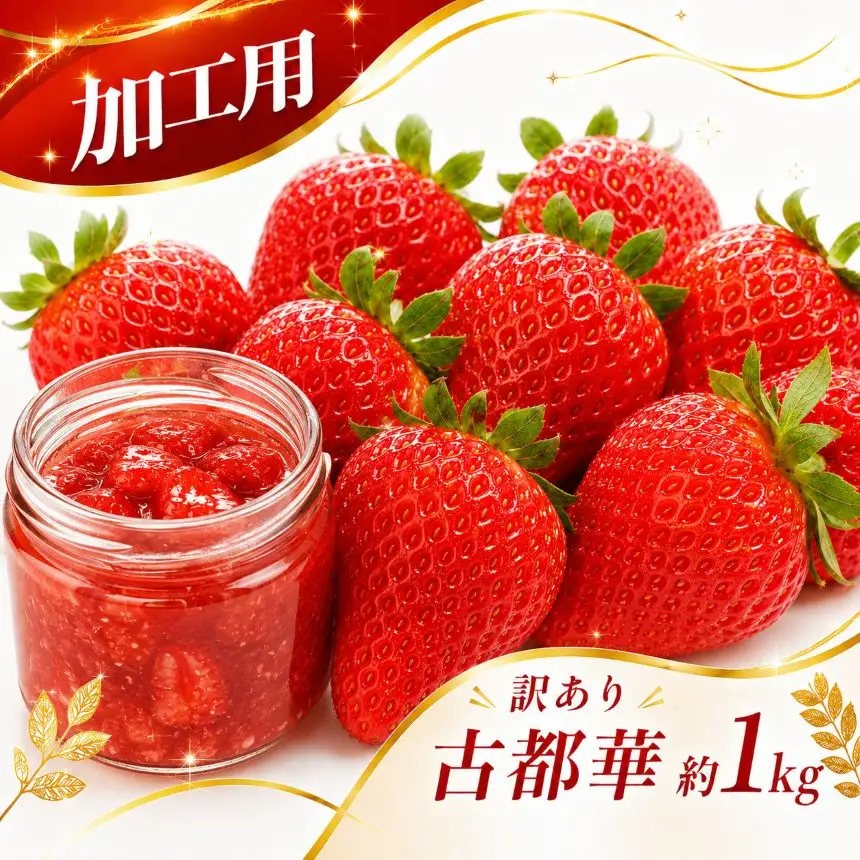 【 加工用 】規格外品 の 古都華 約 1kg | 先行予約 果物 くだもの フルーツ 苺 イチゴ いちご ストロベリー 古都華 ことか 旬の品種 加工用 規格外品 ジャム コンポート 奈良県 平群町