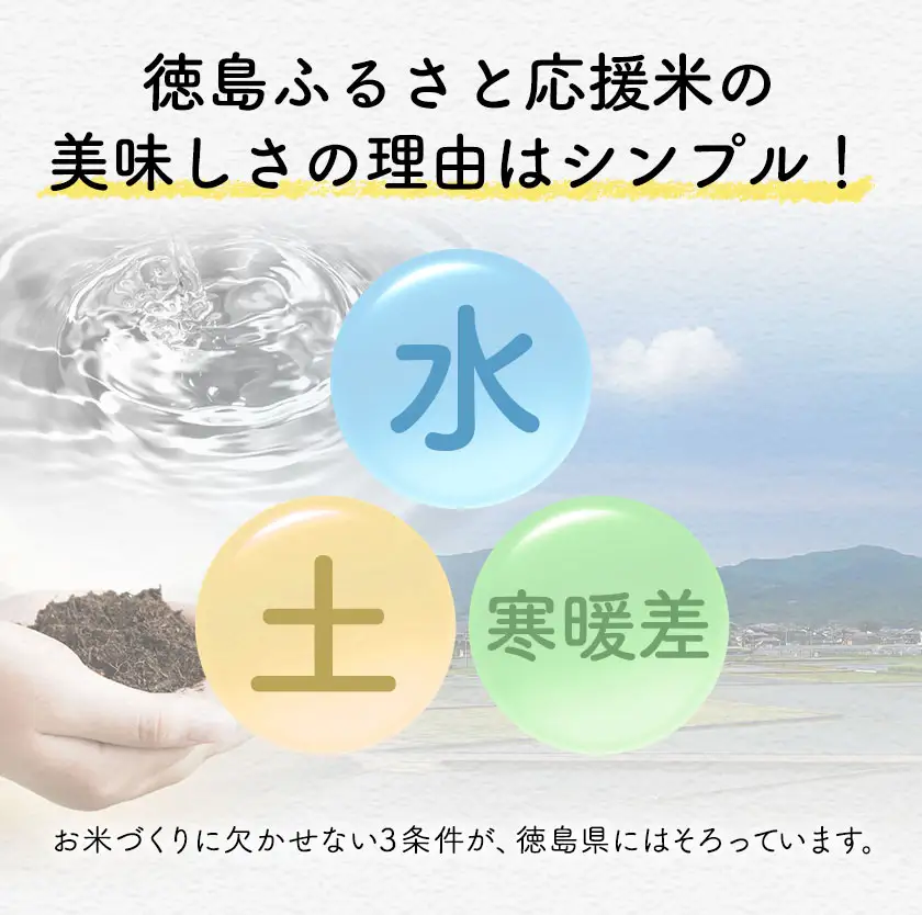 【先行予約】白米 徳島ふるさと応援米 20kg 米