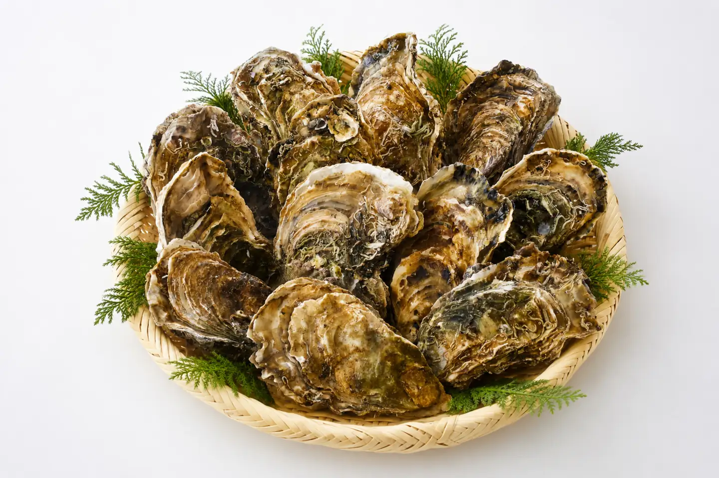 三陸産冷凍殻付き牡蠣 1kg（サイズ：S） 生食用 牡蠣