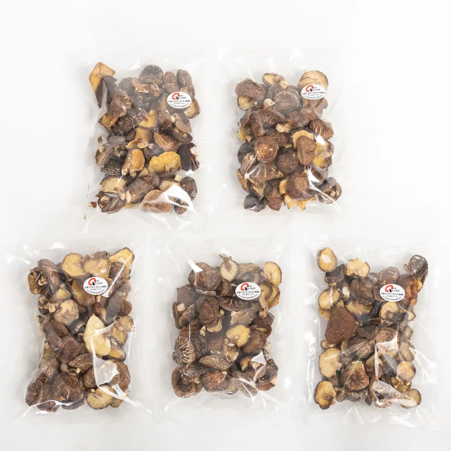 【椎茸訳あり】 津久見産不揃い椎茸 100g×5袋 | 津久見市