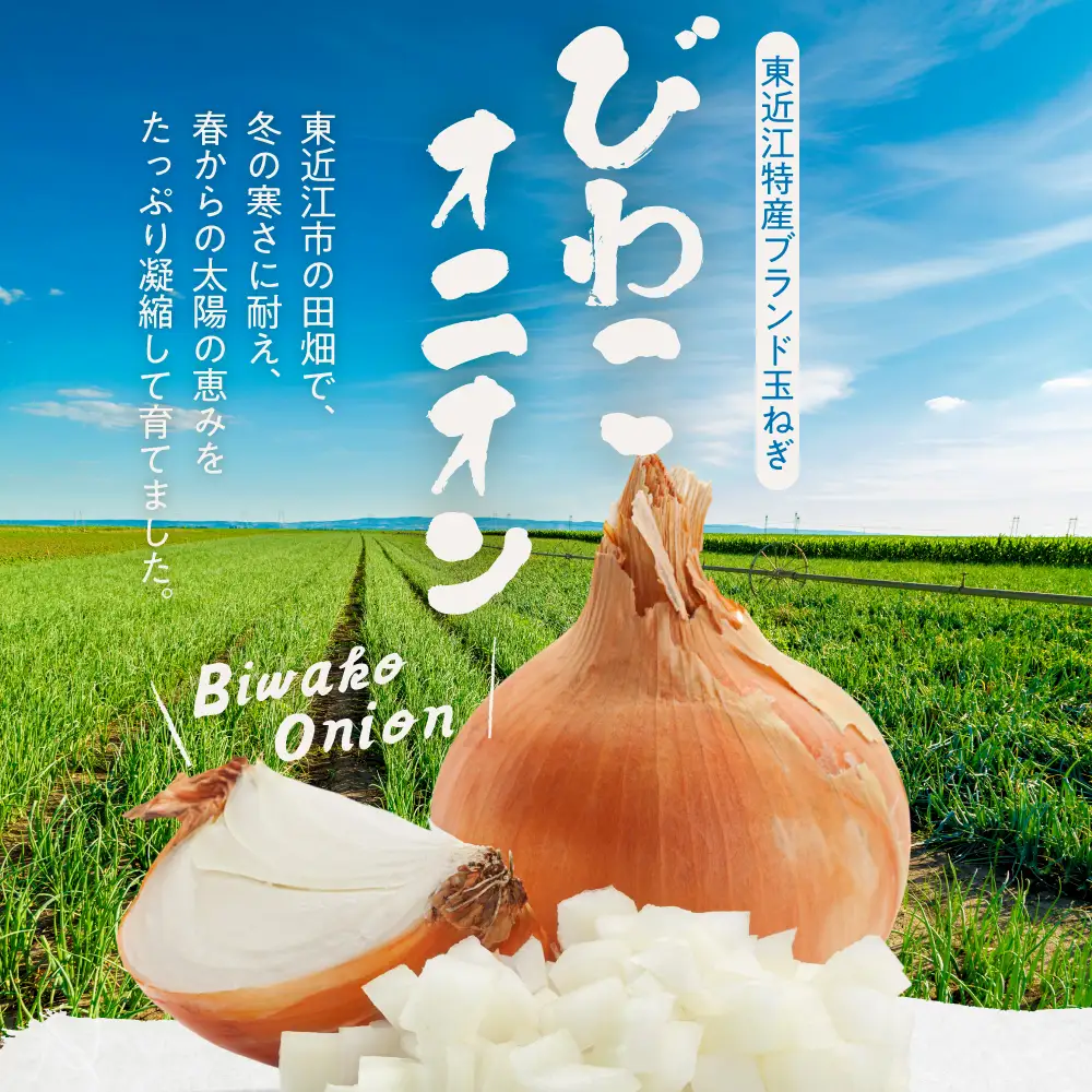 ＼8月末までの期間限定50箱／ びわこオニオン(ケルたま) 株式会社東近江あぐりステーション 滋賀県 東近江市 O-F10 玉ねぎ 玉葱 タマネギ ケルたま 10kg 野菜 旬 常温 滋賀 国産