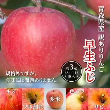 訳ありりんご「早生ふじ」に、お試しサイズ3kgが登場!!【配送不可地域：離島】【1748542】