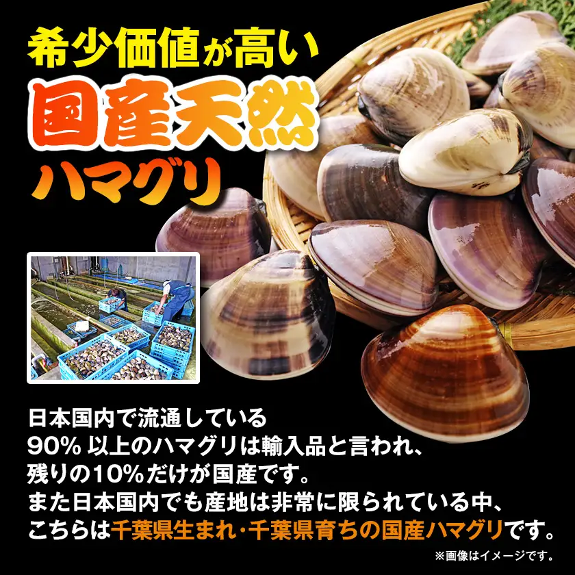 冷凍ボイルハマグリ2kg(24-40粒入り)【配送不可地域：離島】【1743659】