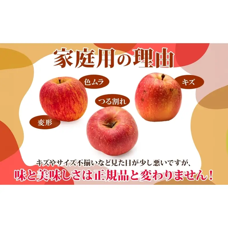 りんご ぐんま名月りんご 青森県産 家庭用ぐんま名月 りんご【約5kg】【2月発送】