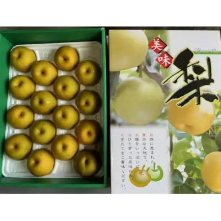 新甘泉　約4.5kg【配送不可地域：離島・北海道・沖縄県】【1747504】