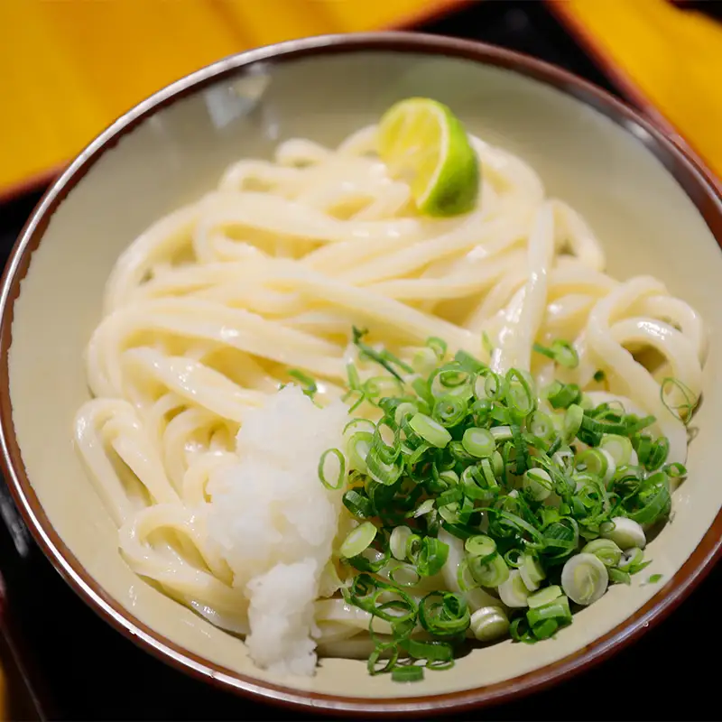 中野うどん学校 本格熟成仕込製法 半生うどん10人前 麺 喉越し ご当地 グルメ 食品 四国 F5J-1239