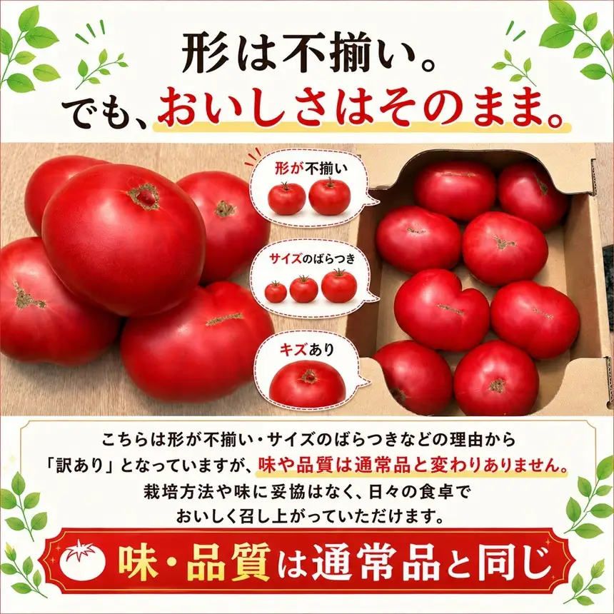 【訳あり】【R8年12月順次発送】大玉トマトりんか 2kg | 岐阜県 北方町