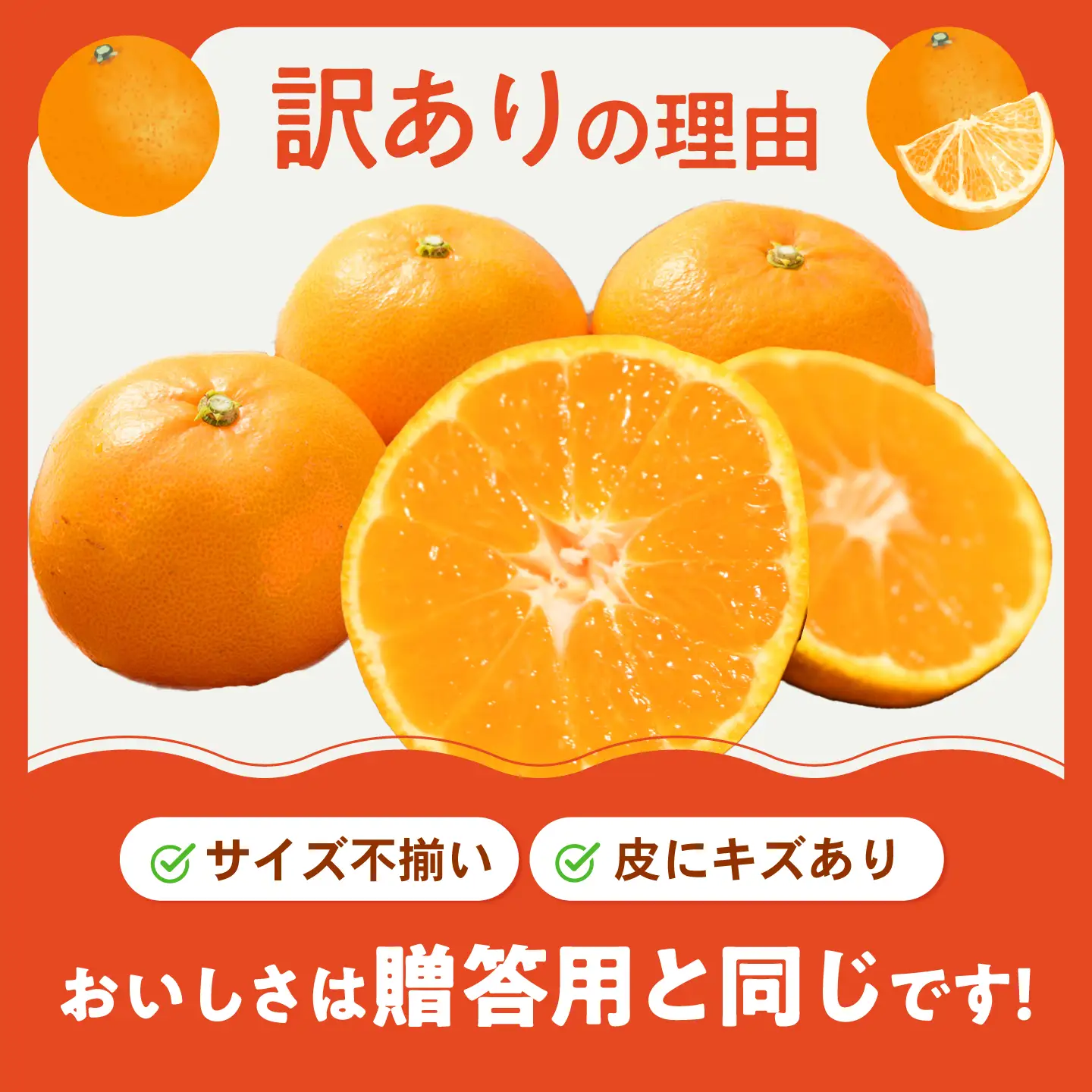 みかん 訳あり 愛果48号 約10kg サイズ不揃い【3月中旬から4月下旬まで順次発送】/ フルーツ 果物 蜜柑 ミカン オレンジ 訳あり 訳アリ 小玉 甘い 先行予約 10kg 愛媛 / 愛媛県砥部町/えひめ農園組合[BJAZ014]