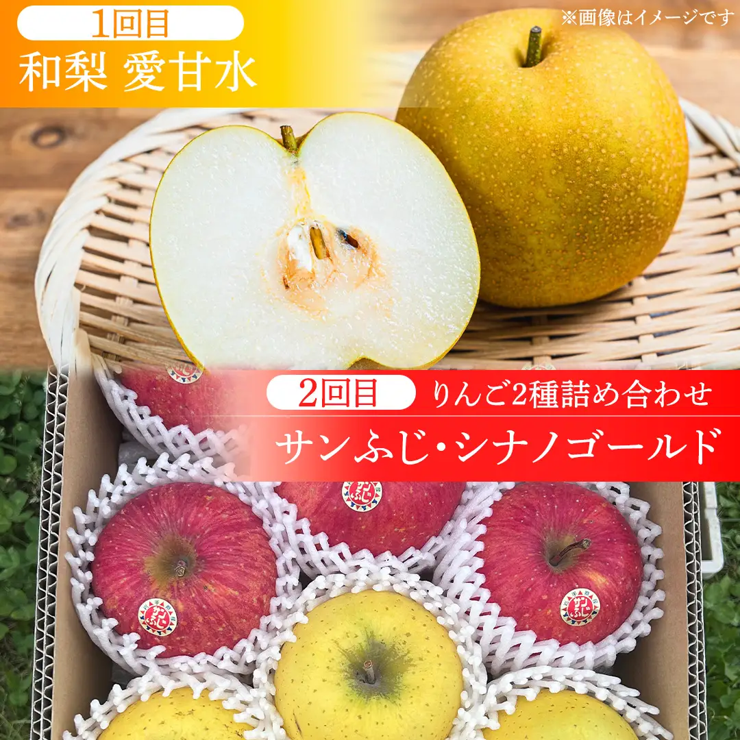 フルーツ 定期便【年2回】計 5kg（各約2.5kg） (FB001)
