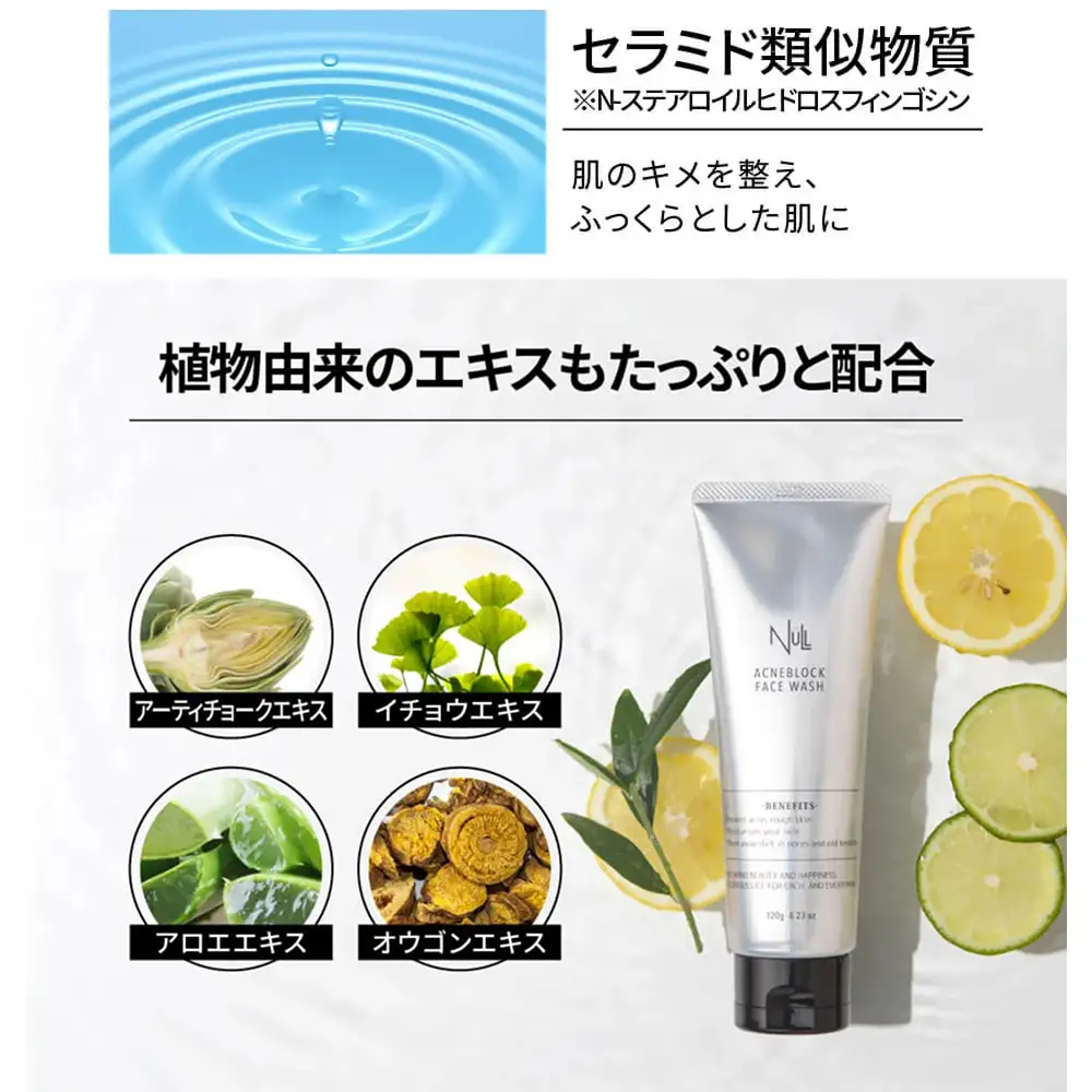 NULL スキンケアセット (薬用オールインワンジェルモイストタイプ(無香料) & 洗顔) 株式会社利他フーズ 滋賀県 東近江市 A-E52 メンズ スキンケア セット 洗顔 オールインワン ニキビ 医薬部外品 シワ改善 シミ対策 敏感肌 ギフト