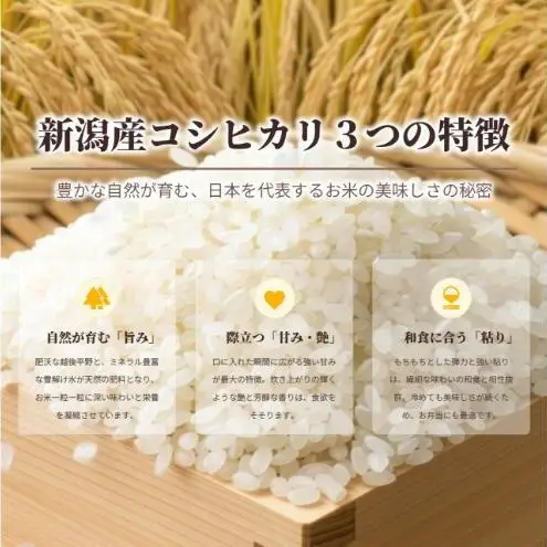 【定期便】新潟産 コシヒカリ 10kg×6回（6ヶ月）