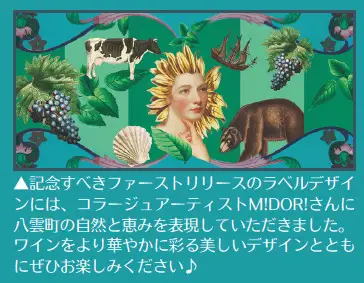 2025 Anchor | ワイン ライトボディー ヤマ・ソービニオン 酒 お酒 アルコール 飲料 八雲町