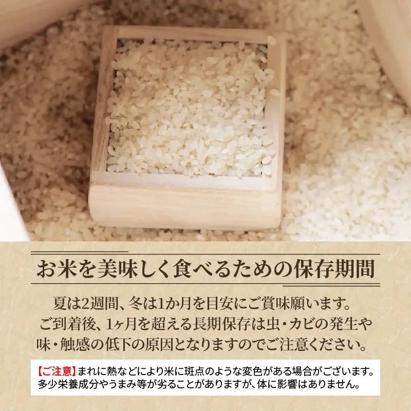  3回定期便 令和7年 ミルキークイーン 白米 5kg × 3回 