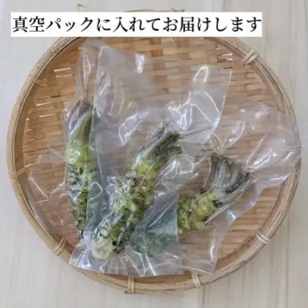 マルカツわさび 小サイズ 10本 真空 岩手県遠野市産【こんたでぃーの遠野】【配送不可地域：離島】【1485586】