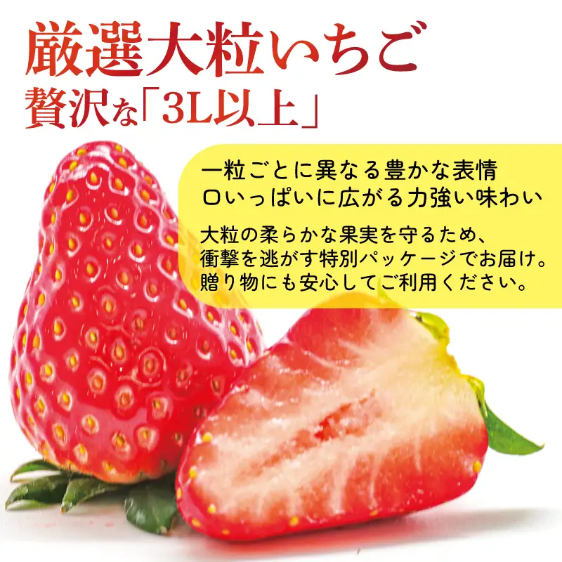 【2027年1月～発送予定】いちご 古都華 大粒 約270g×2パック drm003