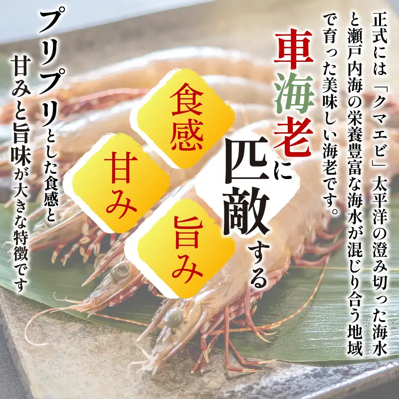 えび 2kg 足赤海老 えび