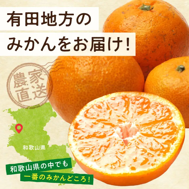 【2026年先行予約】家庭用 完熟有田みかん約2.5kg+250g（傷み補償分）【わけあり・訳あり】【光センサー選果】_ZH7127
