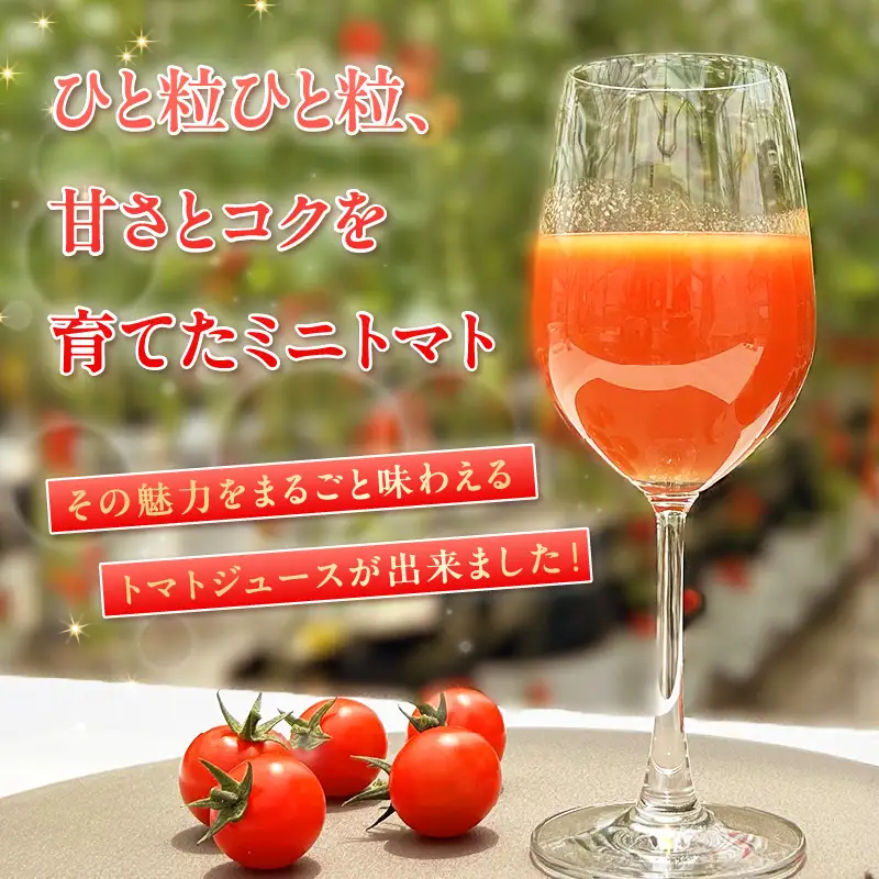 トマトFarm早川 トマトジュース　200ml×3本｜ミニトマト 野菜ジュース 知多市