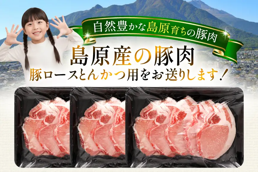 AK033 豚ロース とんかつ用 500g 3パック 計1.5kg