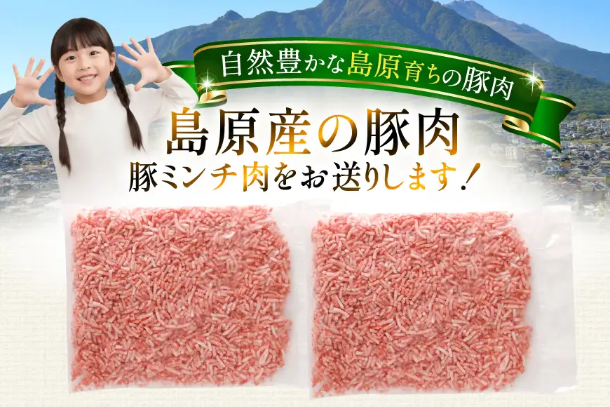 AK026 豚ミンチ 500g 2パック 計1kg