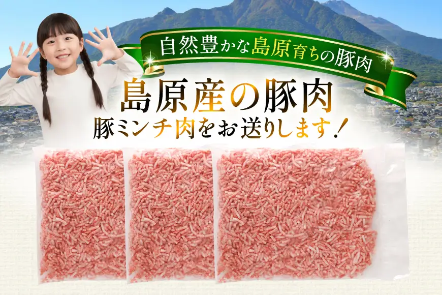 AK027 豚ミンチ 500g 3パック 計1.5kg