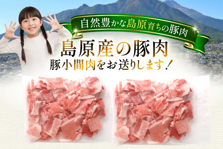 AK028 豚小間 500g 2パック 計1kg