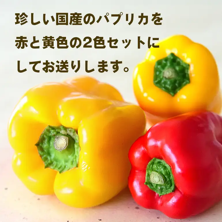 完熟国産パプリカ　赤・黄2色セット 2㎏ 熊岡農園 茨城 茨城県 石岡市 (A47-001)