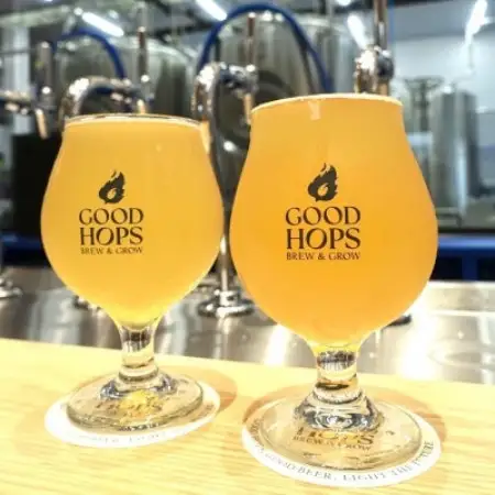 クラフトビール GOOD HOPS おまかせ 飲み比べ 6本 セット 缶ビール 詰め合わせ【配送不可地域：離島】【1686780】
