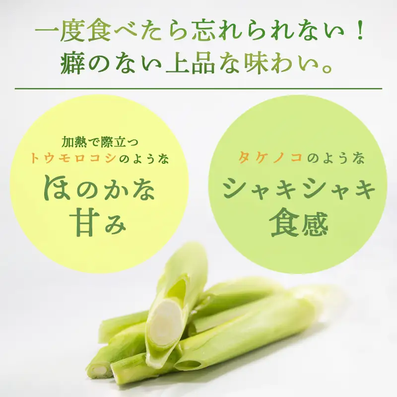 マコモダケ 1.5kg | 栽培期間中農薬不使用