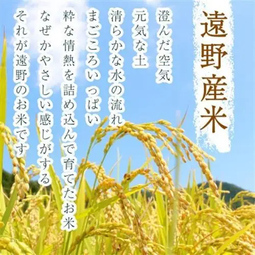 【入金確認後、最短5日で出荷】 【令和7年産】いわてっこ(精米) 岩手県遠野市産 10kg 河判【1702592】