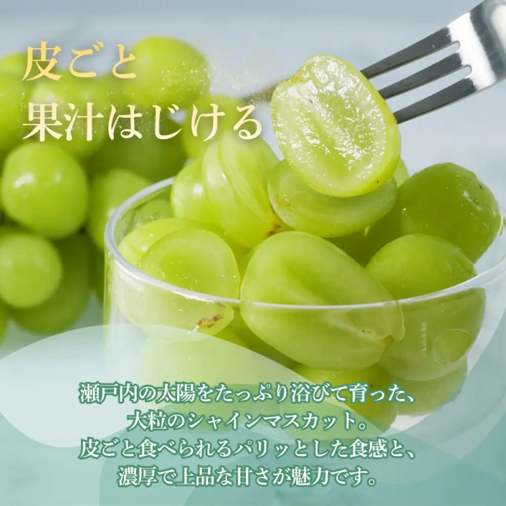 香川産 シャインマスカット「讃シャイン」３～５房（2kg以上）